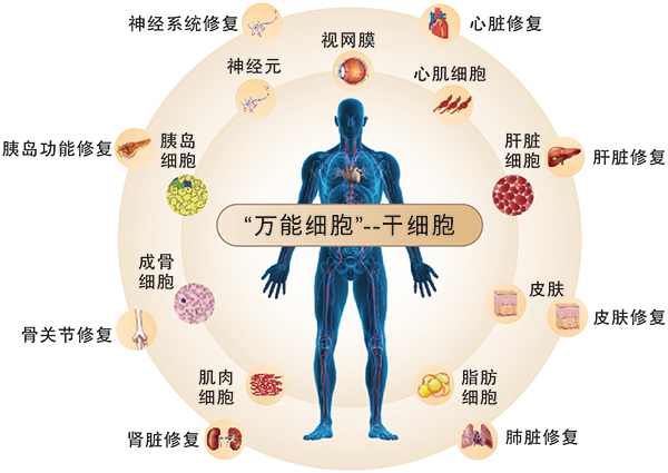 资源-1-100.jpg