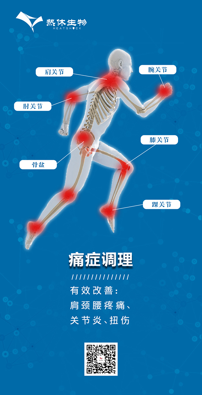 关节炎(热休生物).jpg