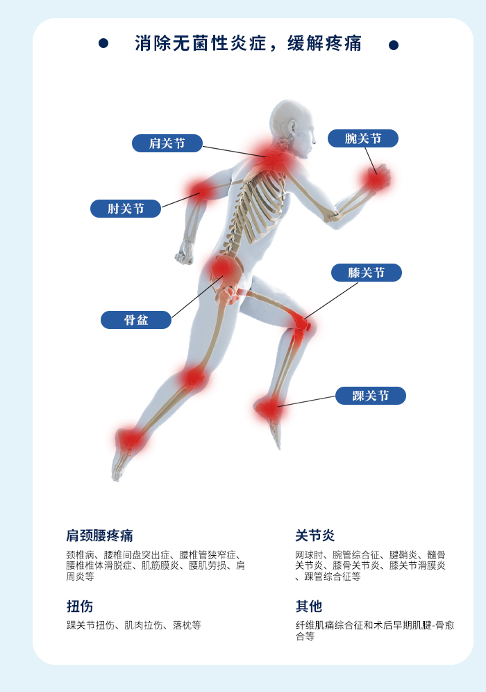 外泌体_02.png