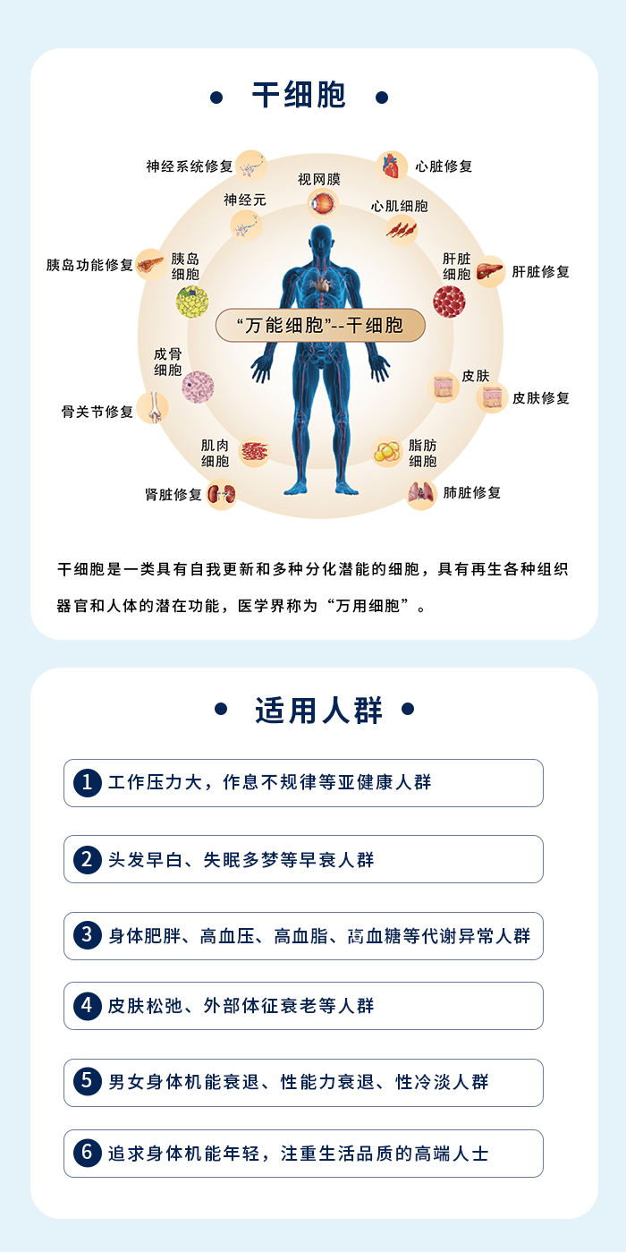 干细胞.jpg